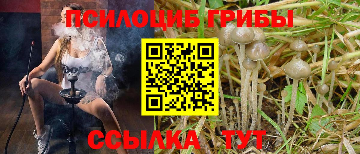 Галлюциногенные грибы ЛСД  Вход с VPN  Химки  Псилоцибиновые грибы Psilocybe 