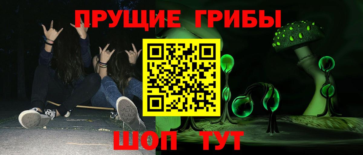 Псилоцибиновые грибы Psilocybe Химки